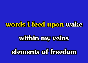 words I feed upon wake
within my veins

elements of freedom