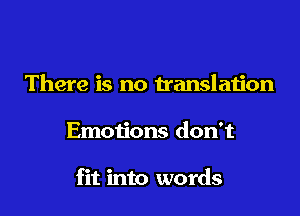 There is no translation

Emotions don't

fit into words