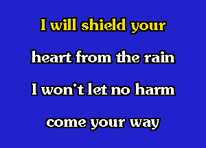 I will shield your
heart from the rain
I won't let no harm

come your way
