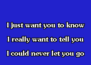 I just want you to know
I really want to tell you

I could never let you go