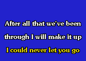 After all that we've been
through I will make it up

I could never let you go