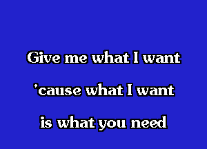 Give me what I want

'cause what I want

is what you need I