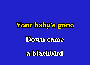 Your baby's gone

Down came

a blackbird