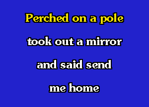 Perched on a pole

took out a mirror
and said send

me home