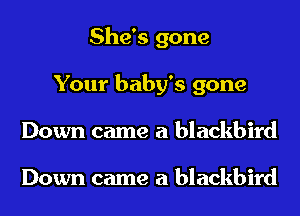 She's gone
Your baby's gone
Down came a blackbird

Down came a blackbird