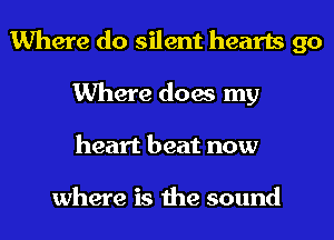 Where do silent hearts go
Where does my
heart beat now

where is the sound