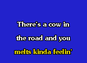 There's a cow in

the road and you

melts kinda feelin'