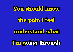 You should know
the pain I feel

understand what

I'm going through I