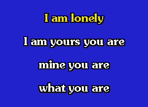 I am lonely
1 am yours you are

mine you are

what you are