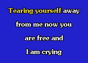 Tearing yourself away

from me now you

are free and

Iamcrying