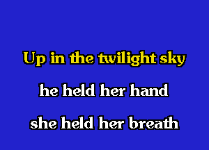 Up in the twilight sky

he held her hand
she held her brea