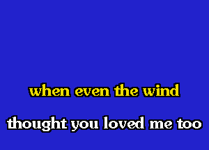 when even the wind

thought you loved me too