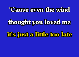 'Cause even the wind
thought you loved me

it's just a little too late