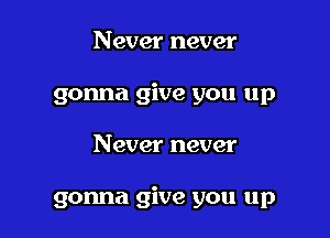 Never never
gonna give you up

Never never

gonna give you up