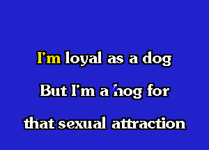 I'm loyal as a dog

But I'm a hog for

that sexual attracijon