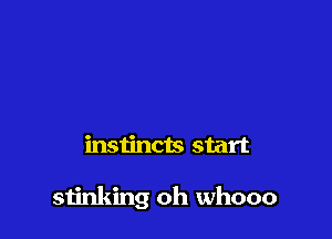 instincts start

stinking oh whooo