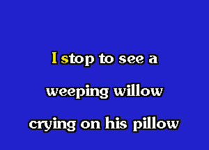 Istop to see a

weeping willow

crying on his pillow