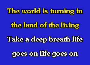 The world is turning in

the land of the living

Take a deep breath life

goes on life goes on