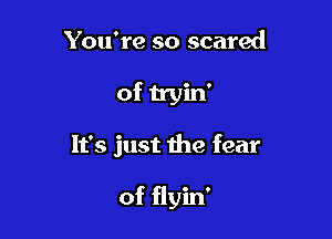 You're so scared

of tryin'

It's just the fear

of flyin'