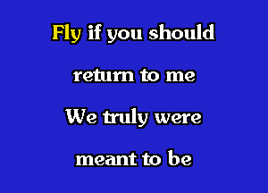 Fly if you should

return to me

We truly were

meant to be