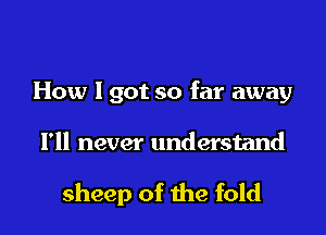 How I got so far away

I'll never understand

sheep of the fold