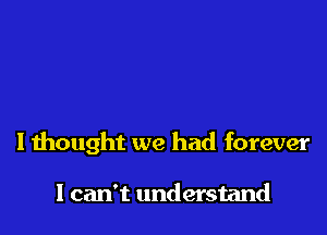 Ithought we had forever

I can't understand