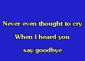 Never even thought to cry

When I heard you

say goodbye