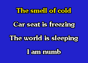 The smell of cold

Car seat is freezing

The world is sleeping

I am numb l
