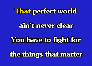 That perfect world
ain't never clear
You have to fight for

the things that matter
