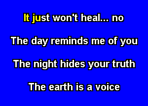 It just won't heal... no

The day reminds me of you

The night hides your truth

The earth is a voice