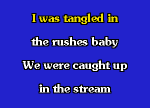 l was tangled in

he rushes baby

We were caught up

in the stream
