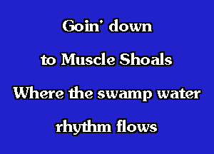 Goin' down

to Muscle Shoals

Where the swamp water

rhythm flows