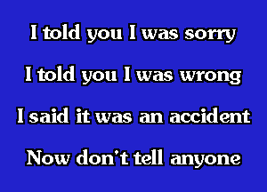 I told you I was sorry
I told you I was wrong
I said it was an accident

Now don't tell anyone