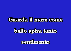 Guarda il mare come

bello spira tanto

sentimento