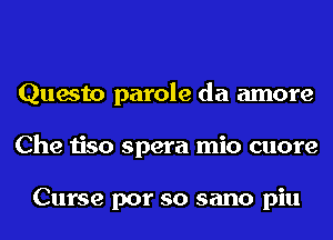 Questo parole da amore
Che tiso spera mio cuore

Curse por so sano piu