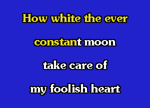 How white the ever
constant moon

take care of

my foolish heart