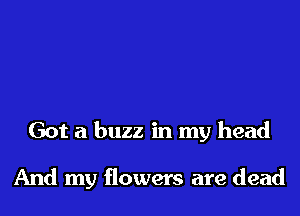 Got a buzz in my head

And my flowers are dead