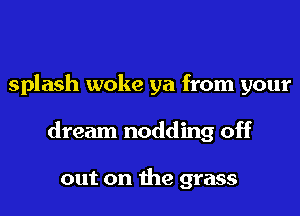 splash woke ya from your
dream nodding off

out on the grass