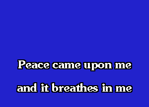 Peace came upon me

and it breathes in me