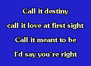 Call it destiny
call it love at first sight
Call it meant to be

I'd say you're right