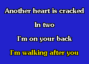 Another heart is cracked
In two
I'm on your back

I'm walking after you