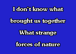 I don't know what
brought us together
What strange

forcw of nature