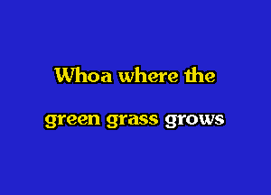 Whoa where the

green grass grows