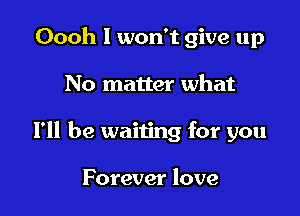 Oooh I won't give up

No matter what

I'll be waiting for you

Forever love