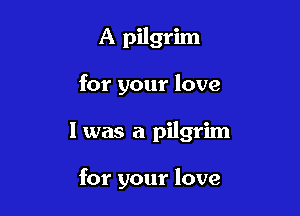A pilgrim

for your love

I was a pilgrim

for your love