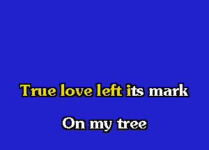 True love left its mark

On my tree