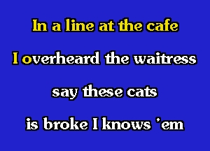 In a line at the cafe
I overheard the waitress
say these cats

is broke I knows 'em