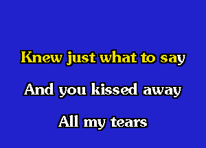 Knew just what to say

And you kissed away

All my tears