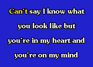 Can't say I know what
you look like but
you're in my heart and

you're on my mind