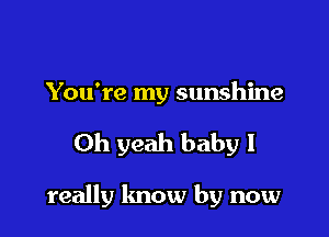 You're my sunshine

Oh yeah baby I

really lmow by now
